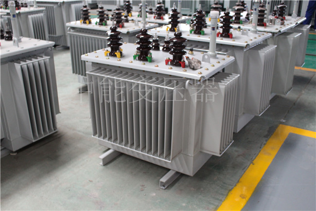 广元S22-250KVA/10KV变压器